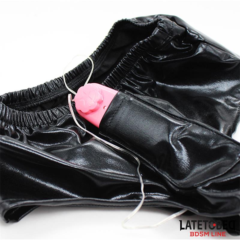 Elastic Briefs with Vibrating Dildo One Size